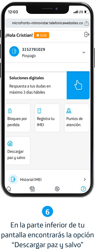 Paso 6
