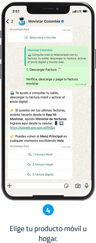Paso 4