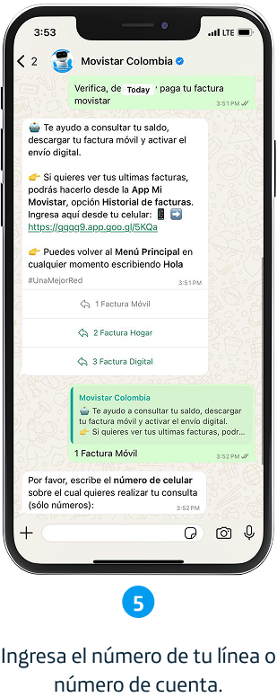 Paso 5
