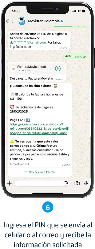Paso 6