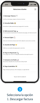 Paso 3
