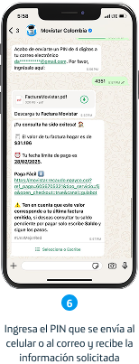 Paso 6