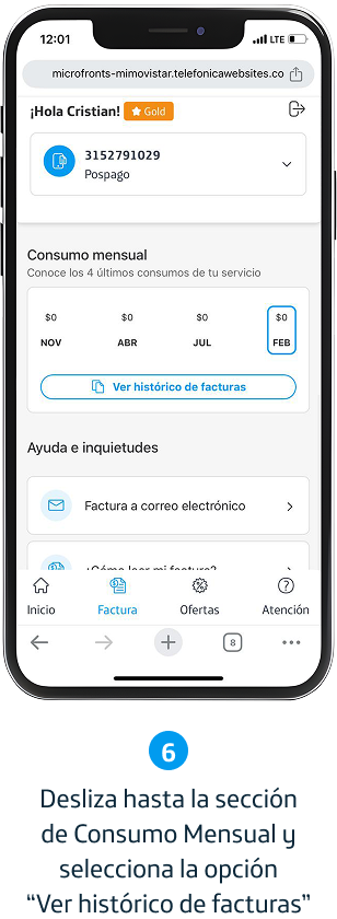 Paso 6