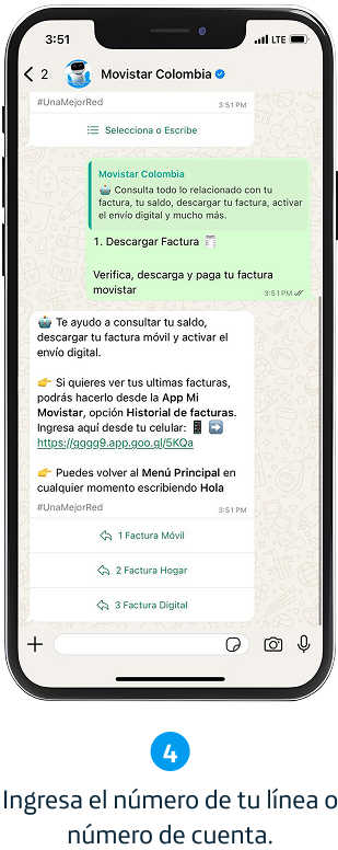 Paso 4