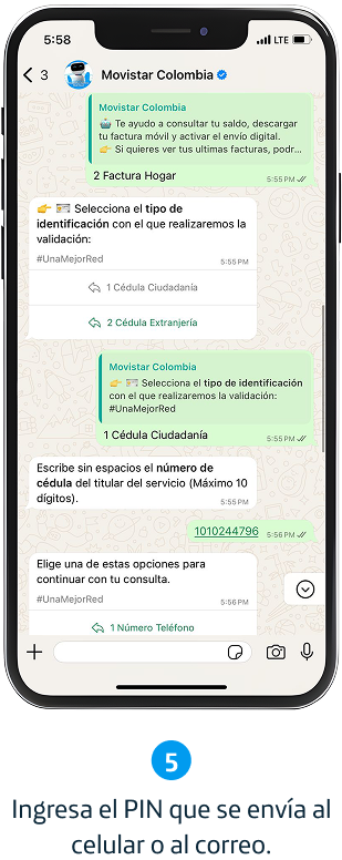 Paso 5
